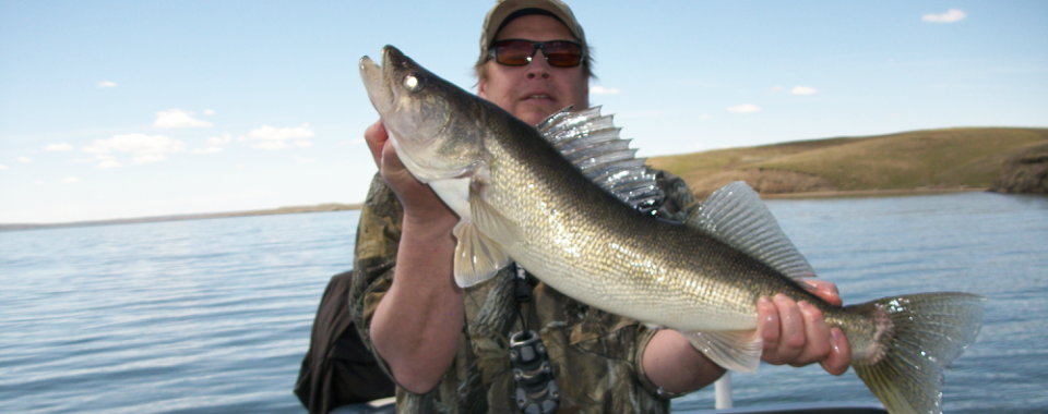 Fishing report: Here are 7 spots throughout Michigan for good walleye  fishing 
